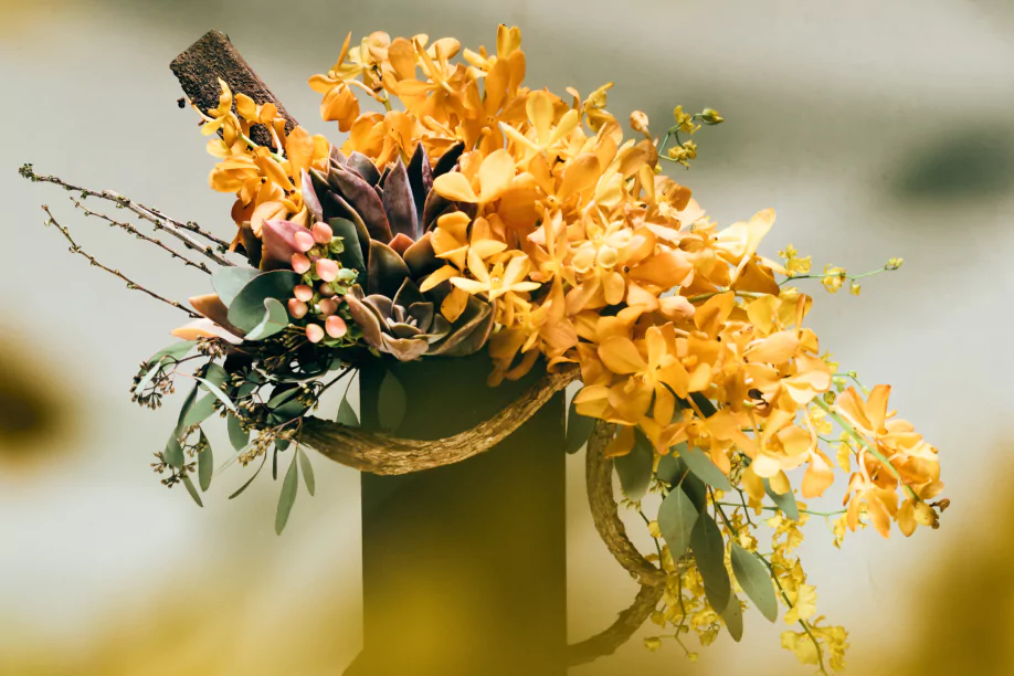 Margarita Hero Image